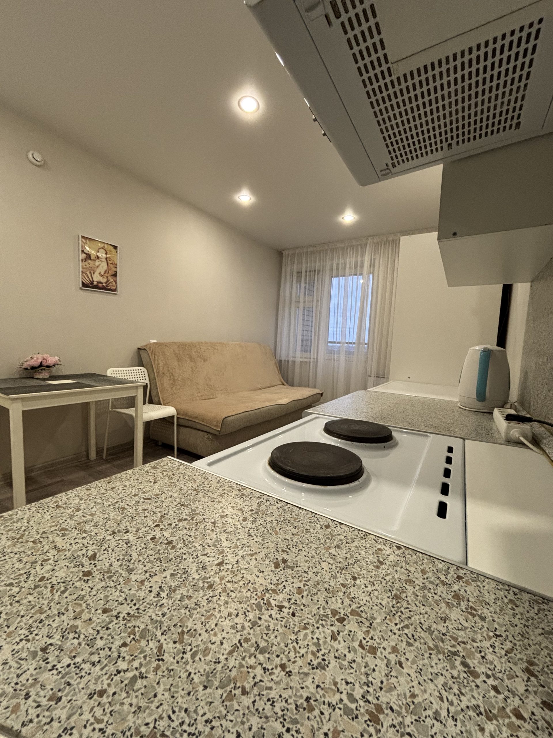 Квартира-студия, 20 м², 10/10 эт. Авангардная 43 (21/02)