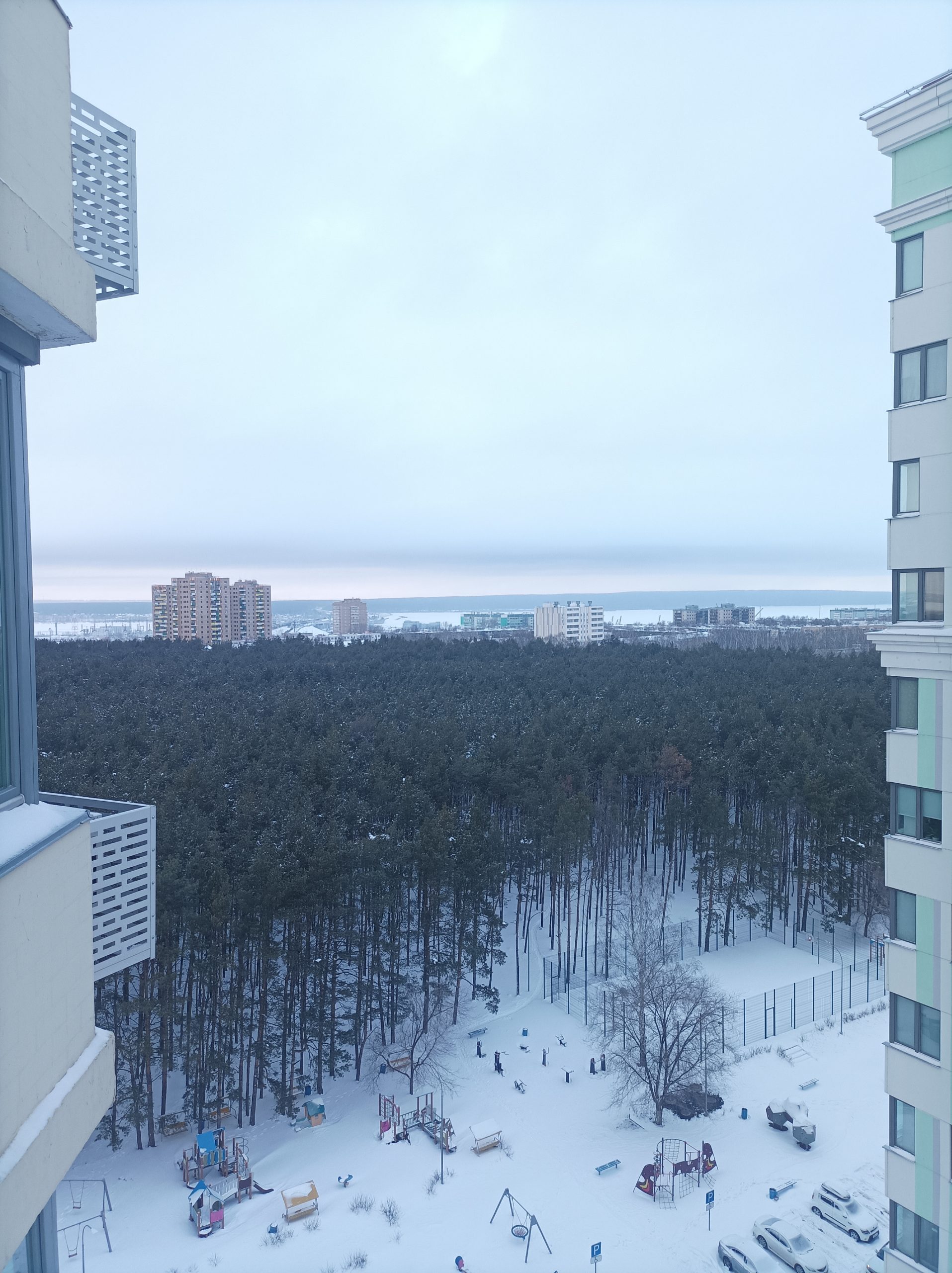Квартира-студия с видом на парк 27 кв. м. 13/16 этаж (Тюльпан)