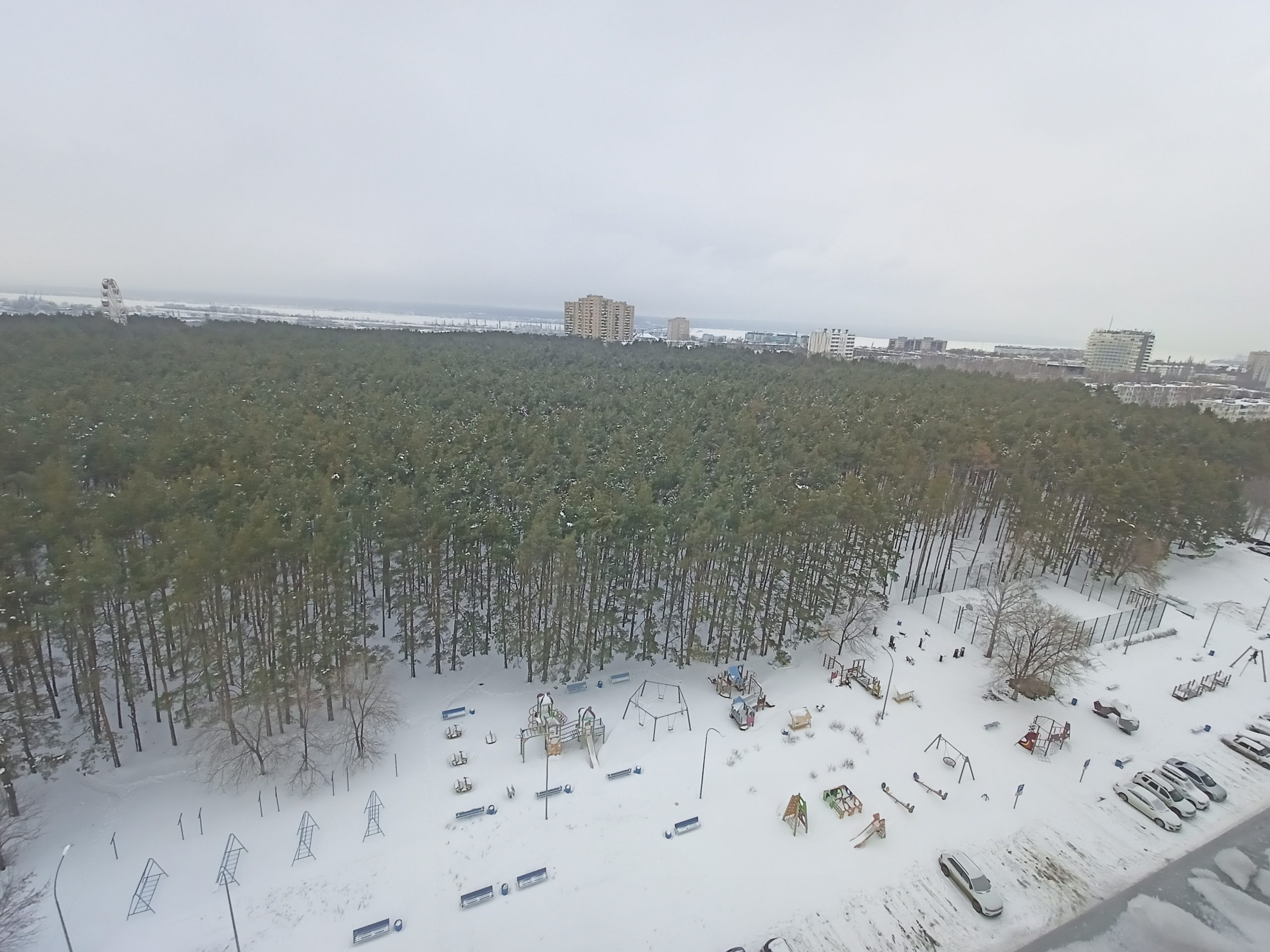 Квартира-студия с видом на парк 27 кв. м. 13/16 этаж (Тюльпан)